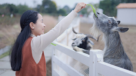 东方人像女孩投喂山羊4k实拍