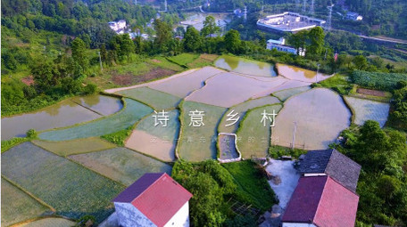 乡村振兴图文快闪宣传AE模板