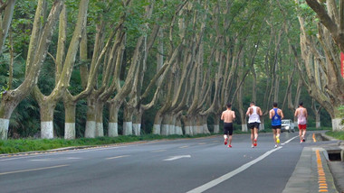 体育运动清晨晨跑4k实拍