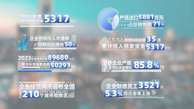 简洁商务数据工作总结汇报字幕条