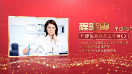 大气<strong>党政</strong>颁奖人物介绍AE模板