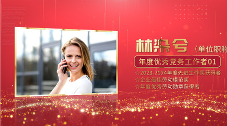 大气<strong>党政</strong>颁奖人物介绍AE模板