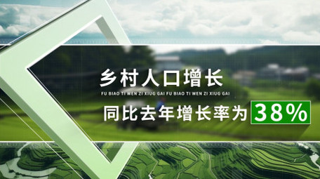 简洁乡村振兴数据展示AE模板