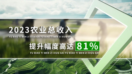 简洁乡村振兴数据展示AE模板