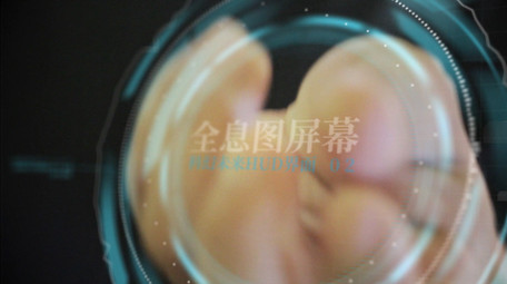 手指触摸屏实拍图文特效AE模板