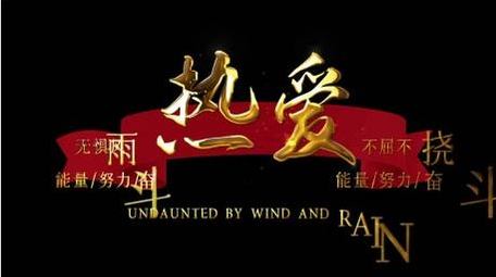 金色大气党政宣传字幕花字