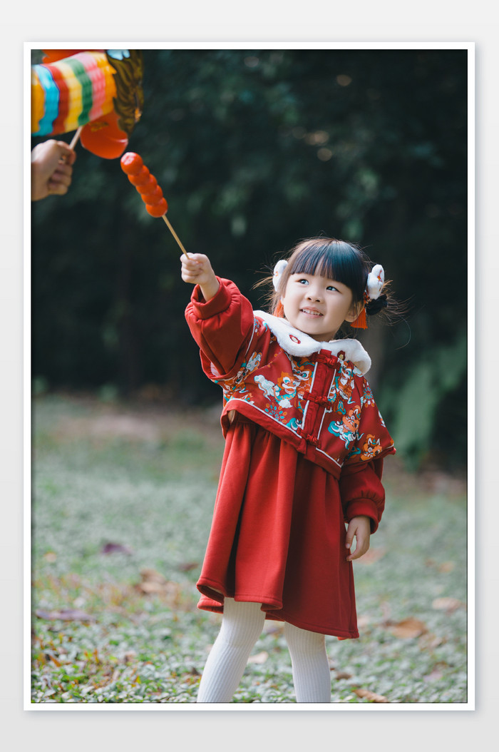 春节新年龙年女孩人像