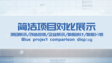 简洁项目对比展示pr模板