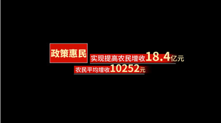 红色党政工作总结字幕条