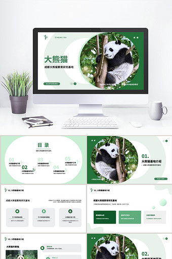 绿色成都大熊猫基地PPT模板图片