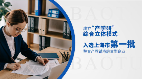 简洁企业发展规划快闪AE模板