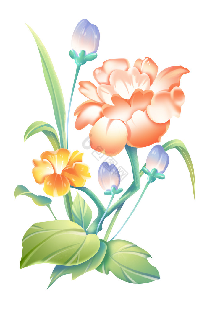 春季植物花朵花卉花草装饰