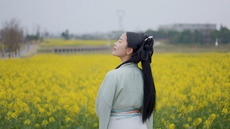 唯美美女在菜花田中欣赏风景实拍