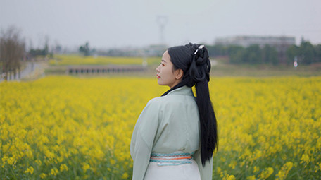 唯美美女在菜花田中欣赏风景实拍