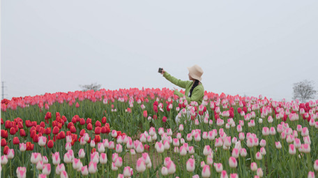 东方人像美女在花海中自拍实拍