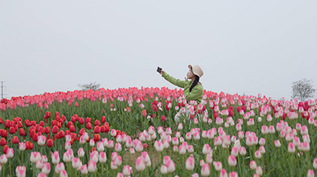 东方人像美女在花海中自拍实拍
