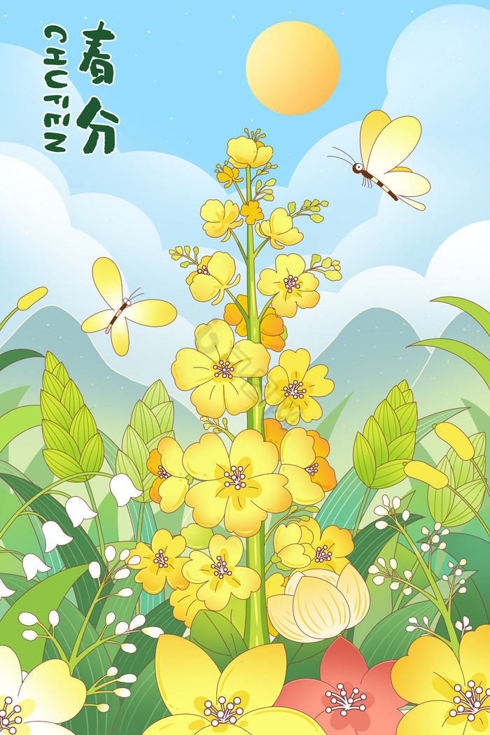 春分节气蝴蝶花朵插画