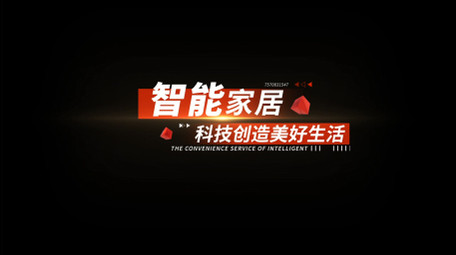 简约党政项目介绍字幕条