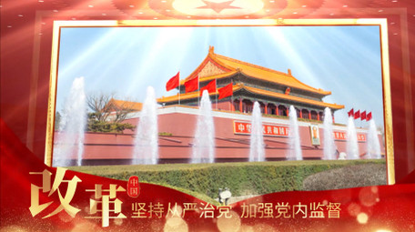 大气红色党政单图图文展示PR模