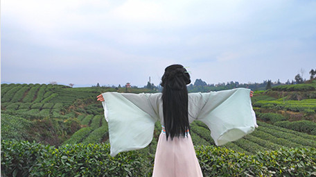 唯美风汉服美女感受自然背影实拍