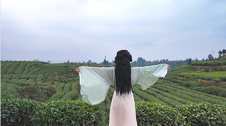 唯美风汉服美女感受自然背影实拍