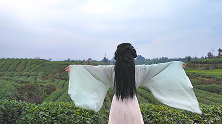 唯美风汉服美女感受自然背影实拍