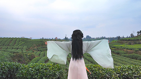 唯美风汉服美女感受自然背影实拍