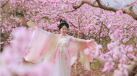 唯美风汉服美女桃园转圈起舞实拍