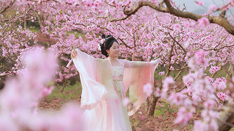 唯美风汉服美女桃园转圈起舞实拍