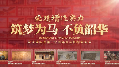 立体党政照片墙图文AE模板