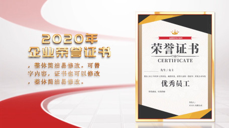 简洁企业<strong>图文</strong>证书展示PR模板