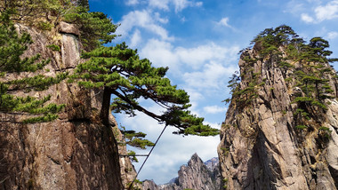 黄山风景区迎客松4K延时