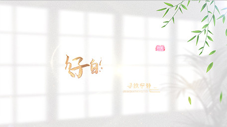 光影唯美标题质感片头AE模板