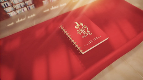 党政翻书效果图文展示AE模板