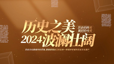 大气党政老照片pr模板