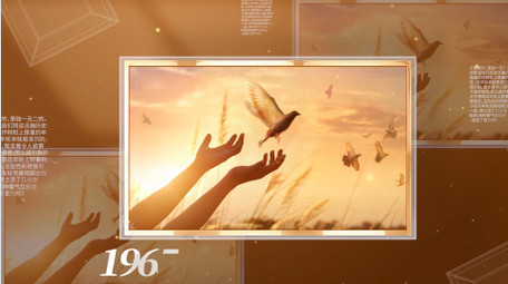 大气党政老照片pr模板