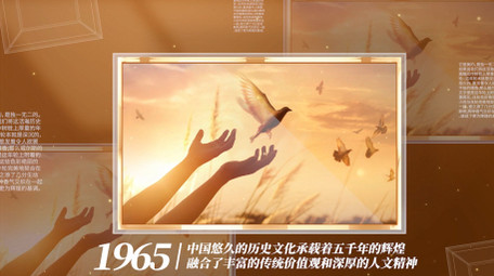 大气党政老照片pr模板