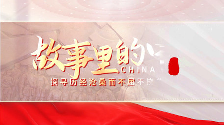 红色<strong>图文</strong>党建片头片花pr模板