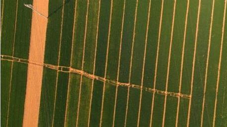 初夏夕阳下的麦田航拍