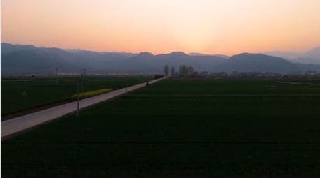 初夏夕阳下的麦田航拍