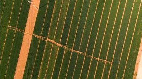 初夏夕阳下的麦田航拍