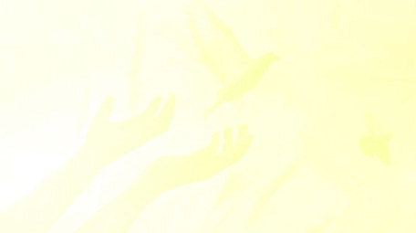 红绸大气<strong>党政图文</strong>pr模板