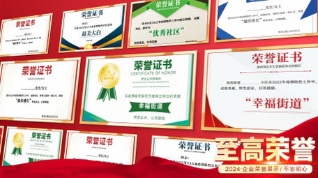 企业荣誉证书展示照片墙AE模板