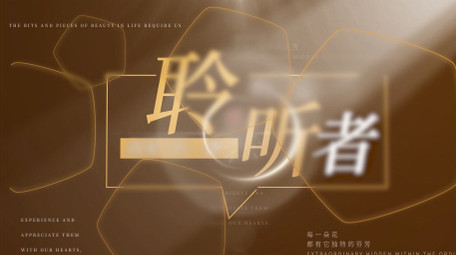 清新唯美文艺字幕片头展示AE模