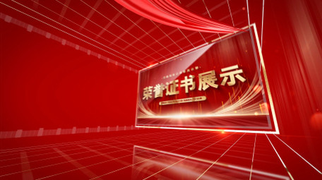 红色<strong>党政</strong>商务证书颁奖AE模板