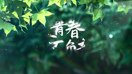 唯美光效字幕标题片头AE模板