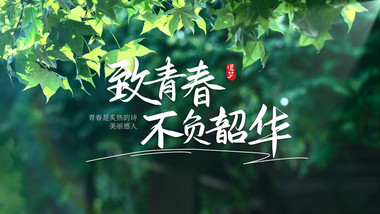 唯美光效字幕标题片头AE模板