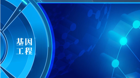 <strong>科技图文</strong>分类逐一展示AE模板