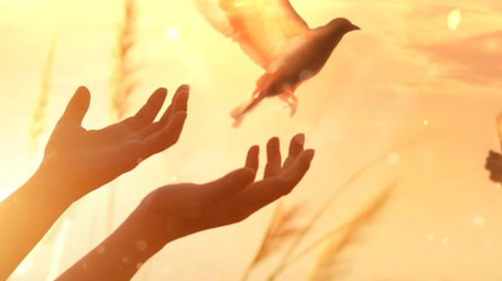 大气红绸建军节<strong>图文党政</strong>ae模板