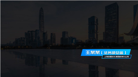 简约商务人名条 AE模板